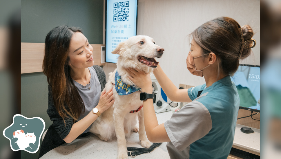 圖片 WeHUG 新界動物醫療中心 尊貴狗狗健康檢查