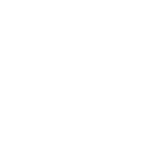 100 Percent Guarantee Icon