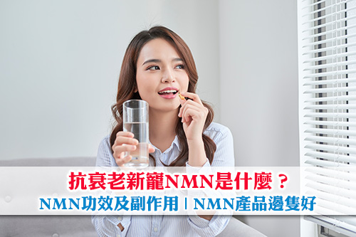 NMN比較及推介