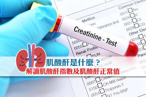 肌酸酐是什麼 解讀肌酸酐指數及肌酸酐正常值 Esdlife健康網購