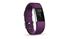 Picture of Fitbit Charge 2™ Heart Rate + Fitness Wristband - Plum Large