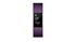 Picture of Fitbit Charge 2™ Heart Rate + Fitness Wristband - Plum Large