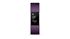 Picture of Fitbit Charge 2™ Heart Rate + Fitness Wristband - Plum Small