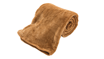 圖片 迪迪熊百變枕 (自取)