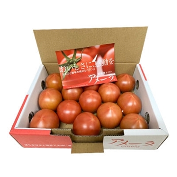 圖片 Dr. Fruits 日本 長野縣 Amela 高糖度水果蕃茄 1 盒