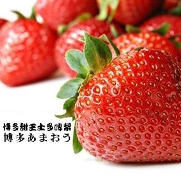 Picture of Aplex Fukuoka Amaou Strawberry