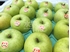 Picture of Dr. Fruits Japan Aomori Orin Apple 4pcs