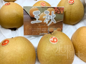 Picture of Dr. Fruits Japan Tottori Pear 2pcs