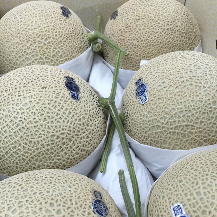 fruits 日本静冈县 皇冠青肉蜜瓜 1个