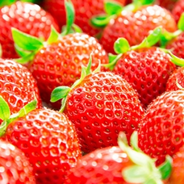 Picture of Aplex Japan Kumamoto Strawberry 1pack
