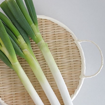 Picture of Dr. Fruits Akita Scallion 1 Bunch