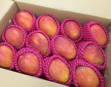 圖片 Dr. Fruits 台灣屏東枋山「御品」愛文芒 2.5公斤禮盒