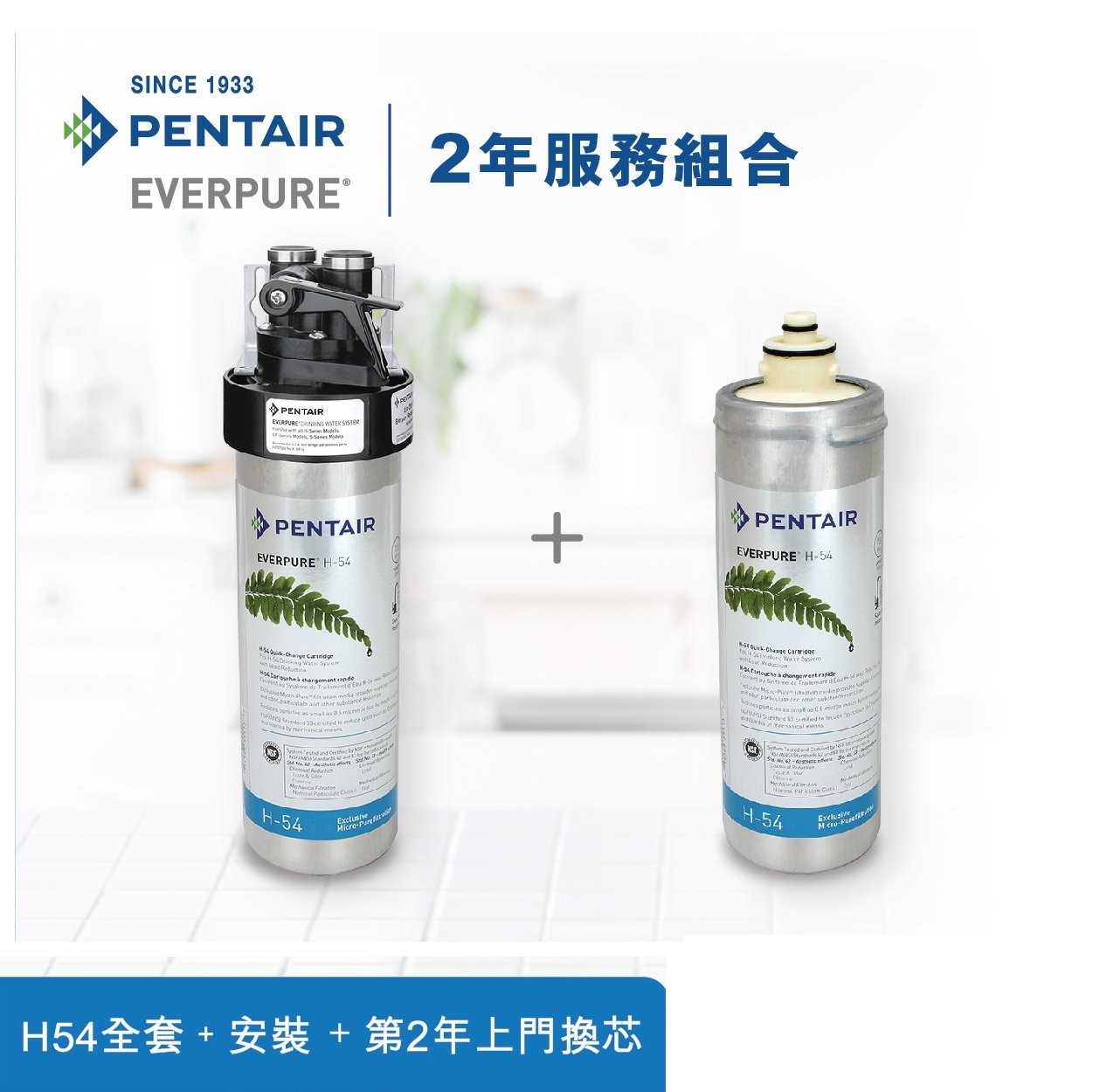 Pentair Everpure H-54掛牆式濾水器2年組合(免費上門安裝及第2年上門更換濾芯)[原廠行貨]