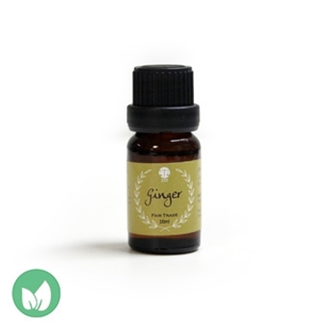 Picture of FAIR CIRCLE Ginger Oil 10ml