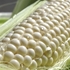 Picture of Aplex Hokkaido White Corn