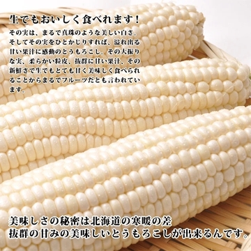 Picture of Aplex Hokkaido White Corn