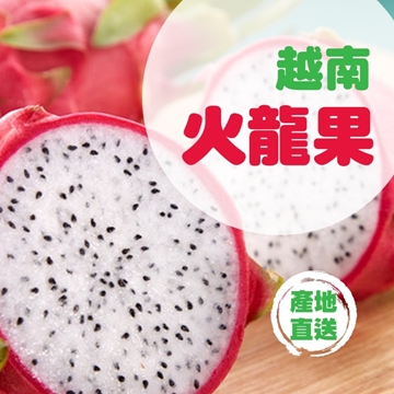 Picture of Fresh Checked Vietnam Dragon Fruit (L) (9kg, 14-19pcs)