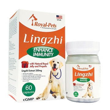 Picture of Royal-Pets Lingzhi 60 capsules