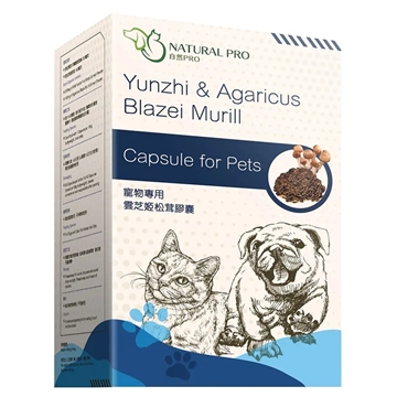 Picture of NATURAL PRO Yunchi & Agaricus Blazei Murill Capsule for Pets 60 Capsules