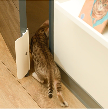 Picture of YOGIPET Door for Pet