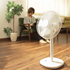Picture of ± 0 XQS-Z710 electric fan [Licensed Import]