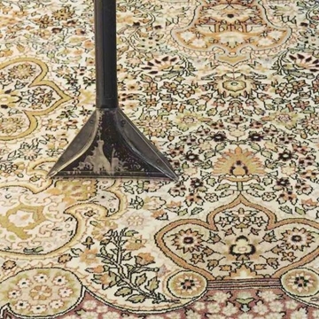 Picture of Persian Oriental Carpet Cleaning and Disinfection