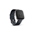 圖片 Fitbit - Versa 2 (NFC) 智能手錶