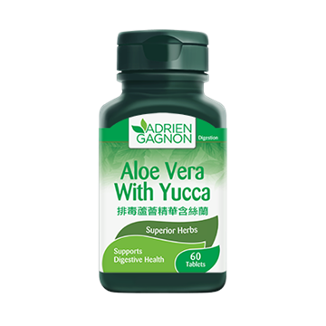 Picture of Adrien Gagnon Aloe Vera With Yucca