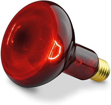 圖片 Beurer IL11紅外線照護燈 [原廠行貨]
