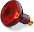 Picture of Beurer IL11 Infrared Care Lamp [Original Licensed]