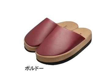 Picture of Alphax Silet O-Type Health Shoes[Original Licensed]