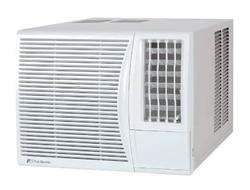 Fuji Electric 1 HP Window Air Conditioner RKB09FPTN [Original Licensed]