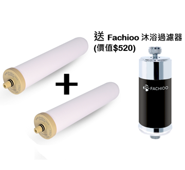 Picture of Doulton Dalton BTU 2501 filter element (combination price of 2) (send Fachioo bath filter) [Original Licensed]