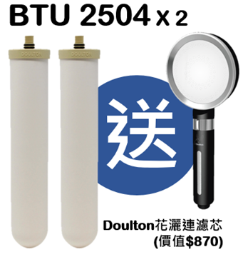 Picture of Doulton BTU 2504 filter element (2 pieces set price) (Free Doulton shower head with filter element)