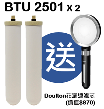Picture of Doulton BTU 2501 filter element_2 set price_free Doulton shower with filter element
