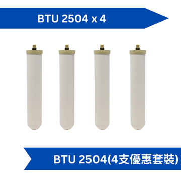 圖片 Doulton BTU 2504 濾芯 (4 支優惠套裝) (送 洗芯海棉刷)