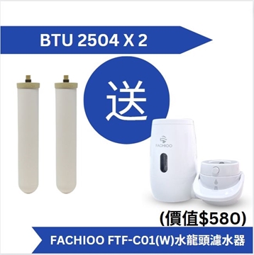 Picture of Doulton BTU 2504 filter element (2 pieces set price) comes with Fachioo FTF-C01(W) faucet water filter [original factory licensed product]