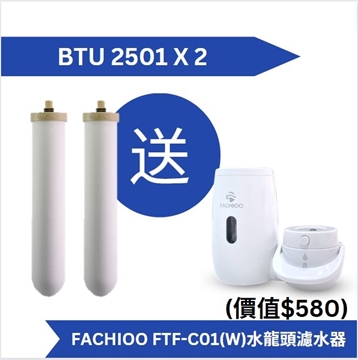 Picture of Doulton BTU 2501 filter element (2 pieces set price) comes with Fachioo FTF-C01(W) faucet water filter [original licensed product]