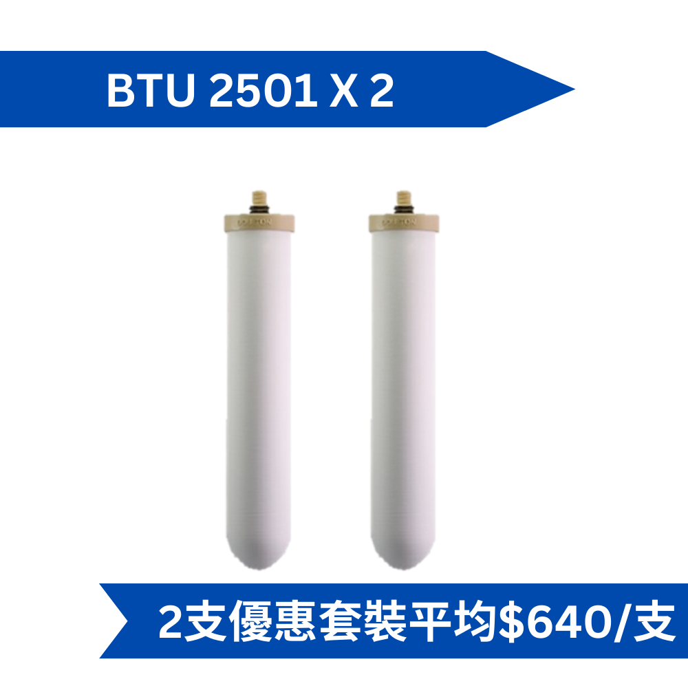 Doulton道爾頓BioTect Ultra BTU 2501 NSF 10吋矽藻瓷濾芯(2 支組合價)[原廠行貨]