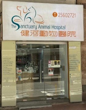 Picture of The Sanctuary Animal Hospital Kitten Care Vaccination Scheme