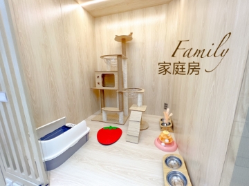 Picture of CatWalk Pet Hotel Service | Shatin District