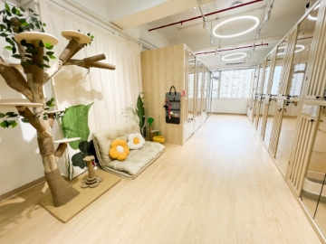 Picture of CatWalk Pet Hotel Service | Shatin District