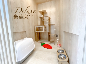 Picture of CatWalk Pet Hotel Service | Shatin District