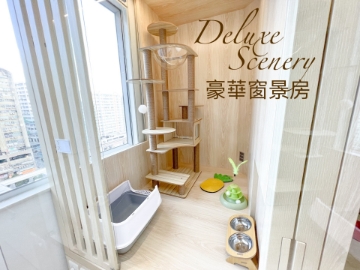 Picture of CatWalk Pet Hotel Service | Shatin District