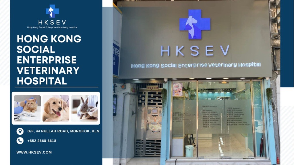 香港社企動物醫院 (HKSEV) 