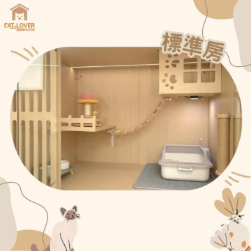 Picture of Cat Lover House Cat Hotel Service | Yuen Long District