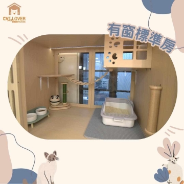 Picture of Cat Lover House Cat Hotel Service | Yuen Long District