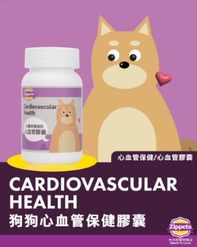 图片 吉沛思 心血管Q10保健胶囊 (犬用) 60粒