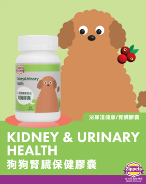 图片 吉沛思 肾脏及泌尿系统保健胶囊 (犬用) 60粒