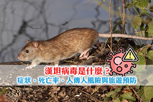 News: 漢坦病毒是什麼？郵輪爆發引關注| 症狀、死亡率、人傳人風險與旅遊預防